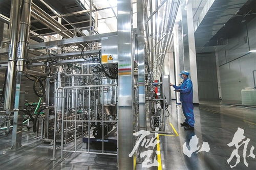 璧山造刀片電池下線記 探秘未來能源心臟，透視電子產品銷售新格局